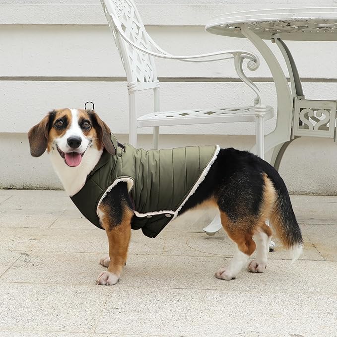 Vecomfy Fleece Lining Dog Hoodie with Harness Built in,Extra Warm Small Dog Jacket in Winter Puppy Coats with Drawstring Hooded,Green M