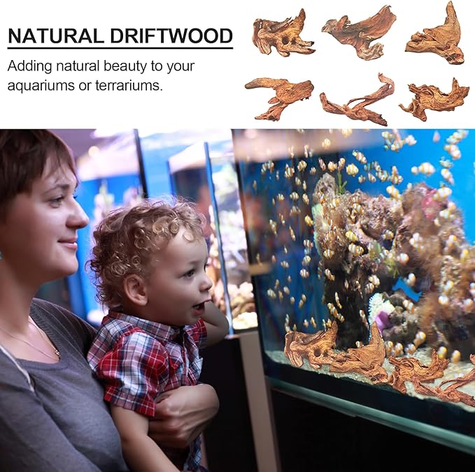 Natural Driftwood Decor for Aquarium Decorations Reptile Tank Accessories, Assorted Wood Branches Decorations on Reptile Fish Tank 2-10" 2 Pcs/4 Pcs/ 5 Pcs/ 6 Pcs (Pack of 6 (2 to 4 Inch))
