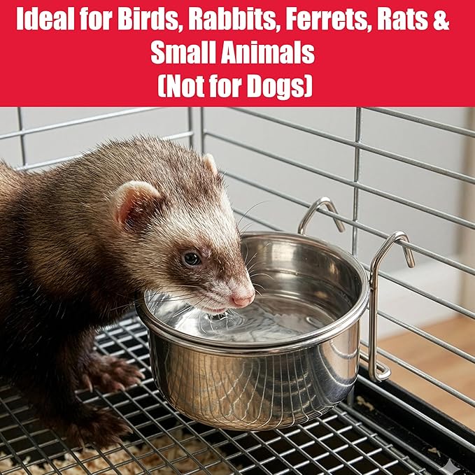 SPOT Stainless Steel Mini Coop Cup with Wire Hooks – 10 oz Small Pet Food & Water Bowl, Rust-Resistant & Easy to Clean, Attaches to Cages for Birds, Parrots, Rabbits, Ferrets, Rats & Small Pets
