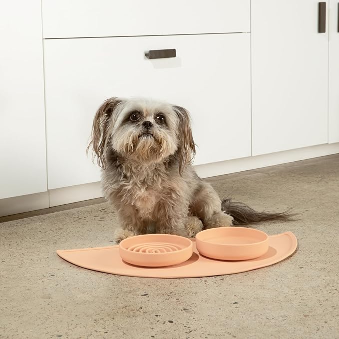 Should We Go? Slow Feeder for Dogs & Cats, The Slowdown Bowl Silicone Slow Eating Mealtime Solution with Modern Lick Mat Design, Reduces Gulping, Fits 1 Cup, 6” Across x 1.25” Tall, Small-Blush