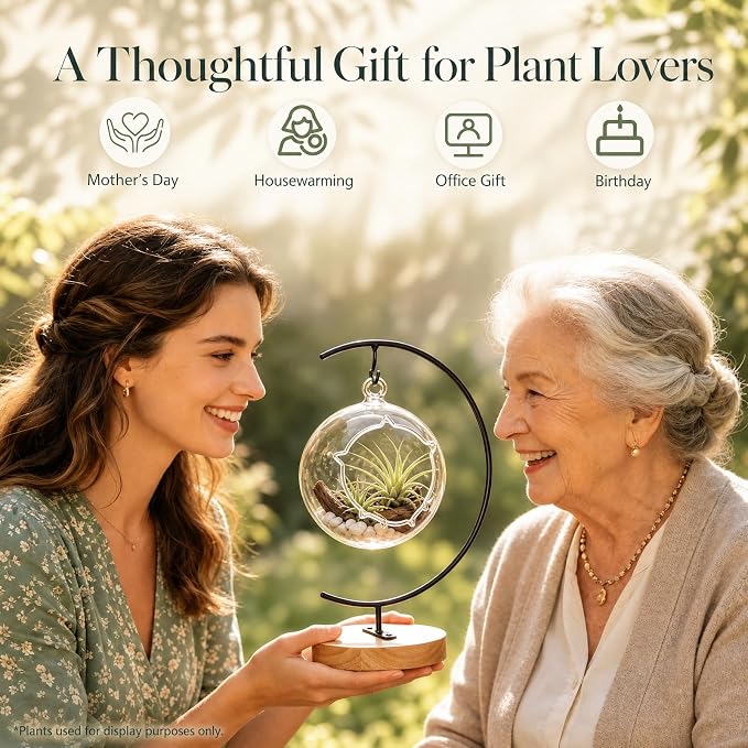 Terrarium Globe Kit, 4.7" Hanging Terrarium for Plants | Small Floating Garden with Wooden Display Stand for Succulents, Indoor Nature Decor, Easy Assembly, Gift for Plant Lover
