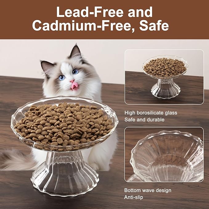 Elevated Cat Bowls Whisker Friendly. Raised Glass Whisker Fatigue Cat Bowl for Indoor Cats Protect The Spine and Prevent Vomiting.