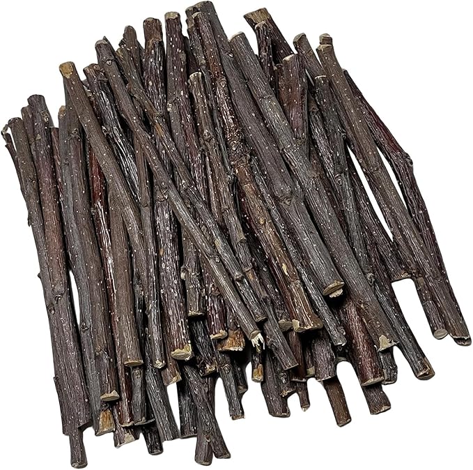 ANDES Natural Apple Sticks Small Animals Molar Wood Treats Toys Chinchilla Guinea Pig Hamster Rabbit Gerbil Parrot Bunny and Small Animals Chew Stick Toys Treats (Premium Apple Sticks -10.6oz)