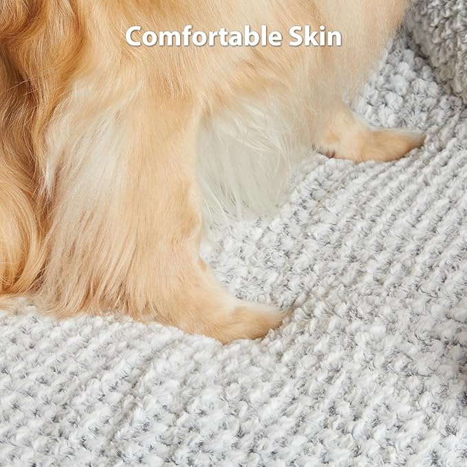 LEXTRO Orthopedic Dog Bed for Extra Large Dogs 48x35Inch, Egg Crate Foam Bed for Extra Large Dogs, Equipped with Removable Waterproof Pillow Cover and Anti-Slip Bottom, Pet Bed