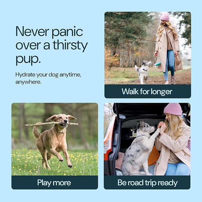 MalsiPree Leak Proof Stainless Steel Portable Dog Water Bottle - 24 oz, Blue Water Dispenser for Pets - Outdoor Dog Travel Water Bottle - for Trail Hiking, Park Visit & Beach Days