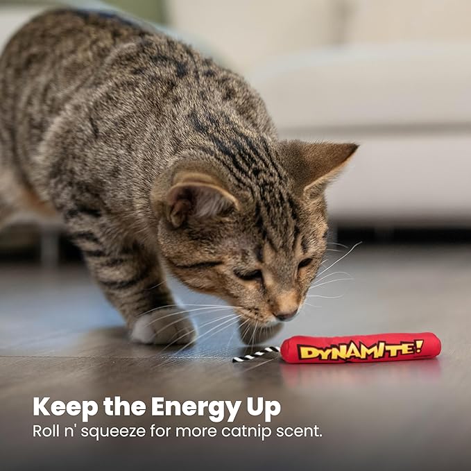Catstages Green Magic Dynamite Stick Catnip Cat Toy