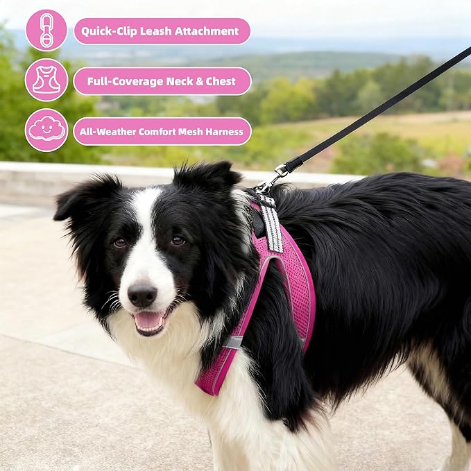 SMOUATOU All Weather Mesh Step in Vest Harness for Small and medidum Dogs and Cats, Adjustable Soft Padded Dog Vest with Easy Control Handle for Dogs Pets (Rose Red, XS)