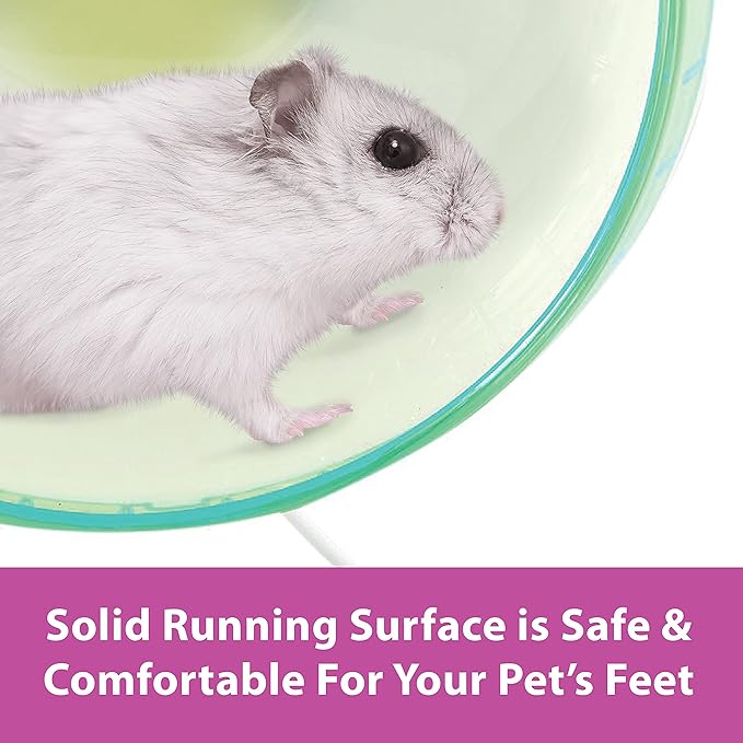 Kaytee Silent Spinner Wheel For Pet Syrian or Large Breed Hamsters, Sugar Gliders and Gerbils, Large 10 Inch (Colors May Vary)
