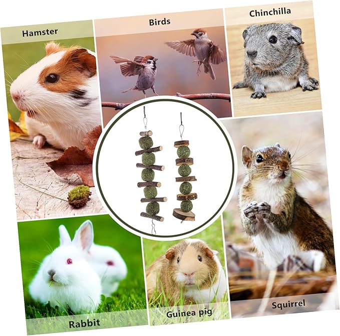 2 Pcs Apple Wood Pet Chewing Sticks Healthy Molar for Hamsters Rabbits Small Furry Animals Interactive Plaything with Natural Grass Components