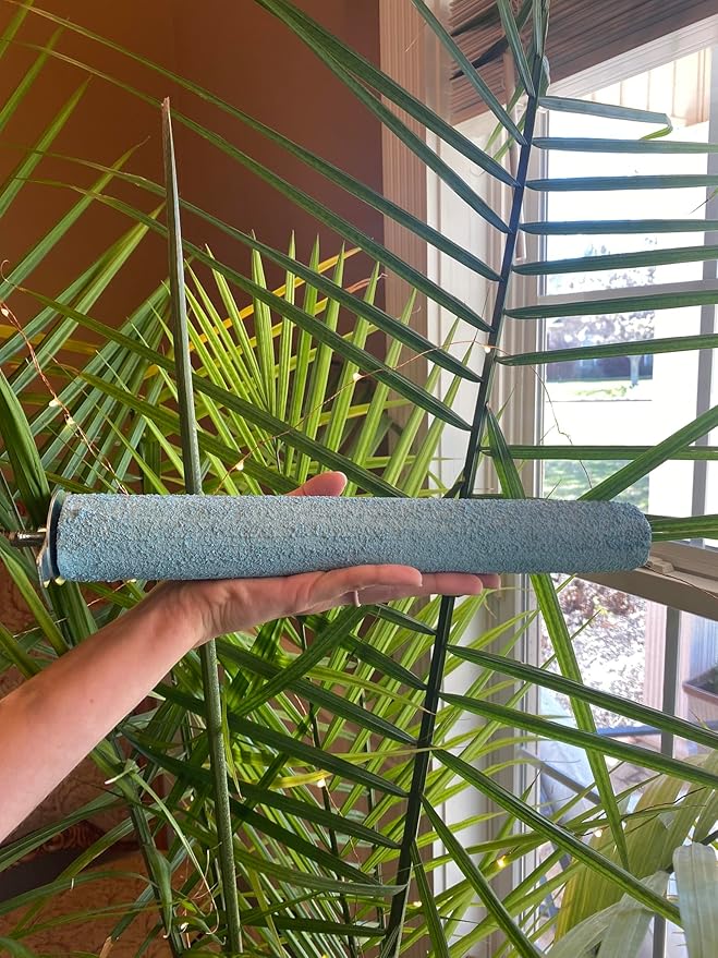 Polly's Pastels Nail Trimming & Beak Conditioning Safety Perch for Cockatiels, Cockatoos, Macaws, Parakeets, Budgies, Parrots and All Other Birds (Blue, Large Long-1 1/2