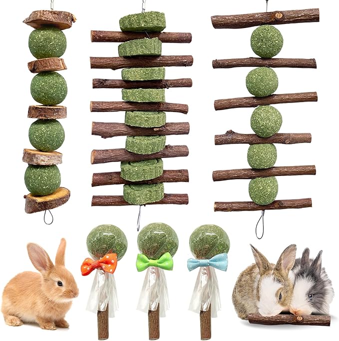 Jorewood 3 Pcs Bunny Chew Toys with 3 Pcs Rabbit Chew Lollipop for Teeth Grinding, Improve Dental Health, Treats for Rabbits Guinea Pigs Chinchillas Bunnies Hamsters