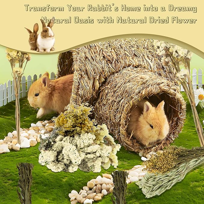 Sukh 47Pcs Natural Hamster Bedding - Flower Herb Sprays Enclosure Decor & Hideout Enriching Habitat Decor, Ideal for Dwarf Hamsters, Syrian Gerbils, Mice and Other Small Rodents