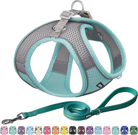 AIITLE Comfortable Dog Harness and Leash Set for Walking - Step in Vest Harness,Reflective Bands, Adjustable No Pull Puppy Essentials, for Small Dogs and House Cats Turquoise XS