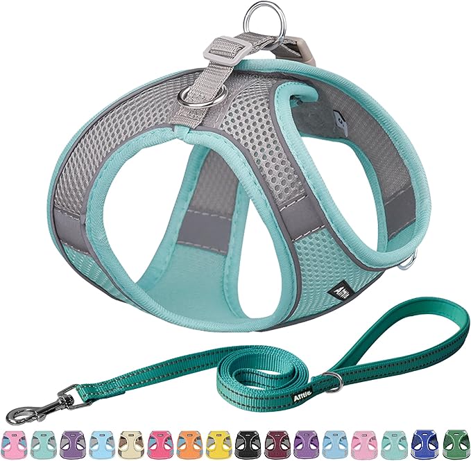 AIITLE No Pull Dog Harness and Leash Set, Step in Adjustable Dog Harness with Padded Vest for All Weather, Dog Leash with Soft Padded Handle, Easy to Put on Small and Medium Dogs Turquoise S