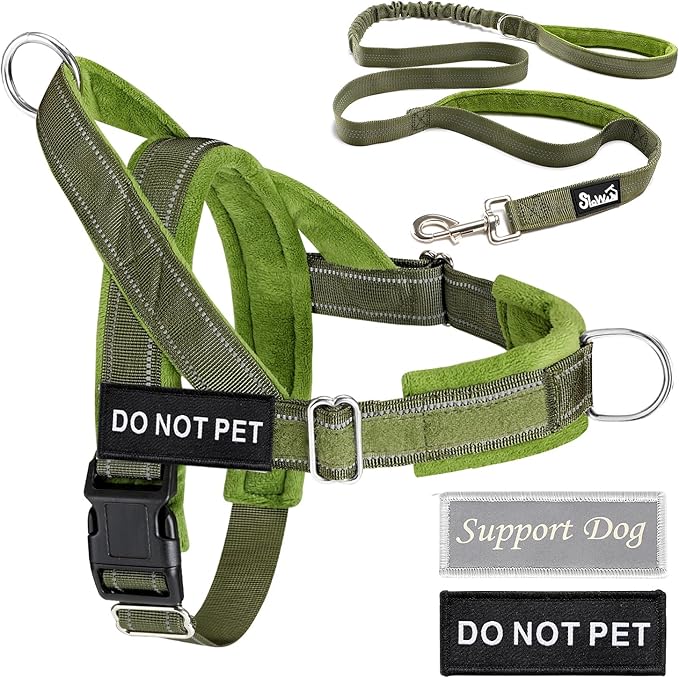 Lukovee No Pull Dog Harness & Leash Set - Heavy Duty Dog Vest Harness with Soft Padded for Medium Large Dogs, Adjustable Reflective Tactical Pet Harness for Easy Walk and Training (M, Green)