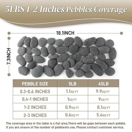 Quibbay 5 lbs Natural Mexican Beach Pebbles, 1-2 Inch Large River Rocks for Plants and Landscaping, Decorative Stone for Fish Tank Aquarium Fountain Garden Paving Walkways Pathways Backyard, Grey