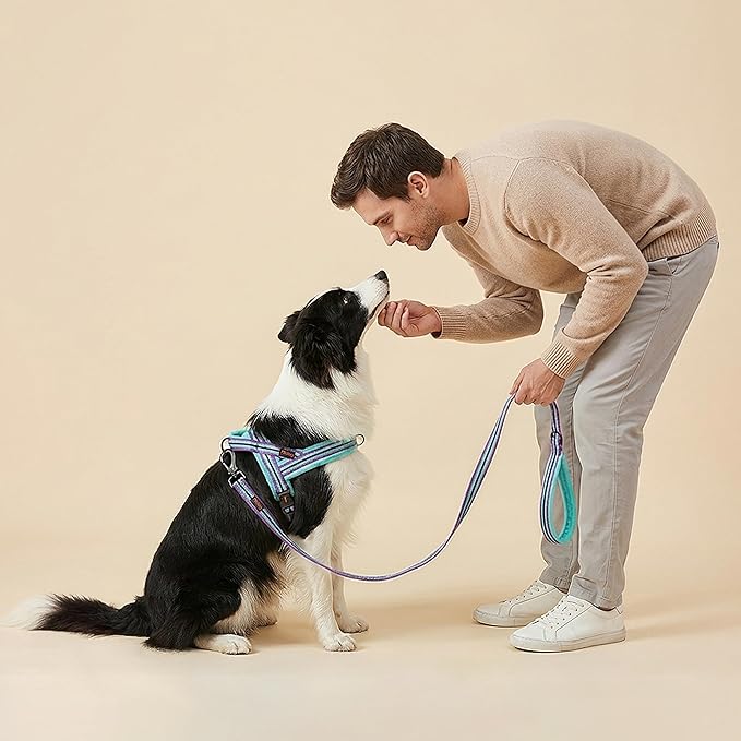 Didog Soft Flannel Padded Dog Vest Harness, No Pull/Quick Fit Reflective Dog Strap Harness, Easy for Training Walking (M:Chest 22-26", Mixed-Blue)