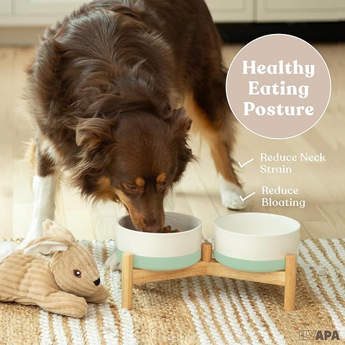Ilyapa Ceramic Dog Bowls - Elevated for Medium Sized Pet with Raised Food and Water Set - Green Double 6 inch, 28 Oz Bowls & 13x6.3x5.5 Wooden Stand