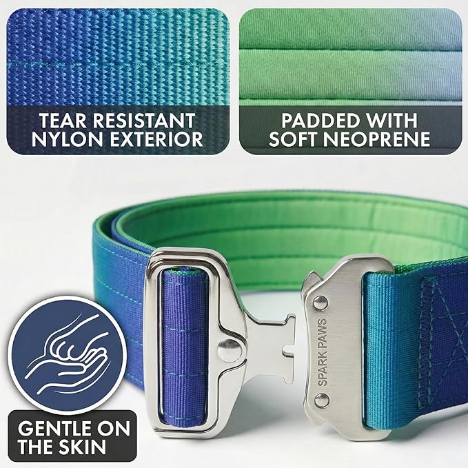 Spark Paws Tactical Dog Collar - Heavy Duty, Premium Quality, Thick and Durable for Large and Medium Dogs - Lime Wave - XS - 1"