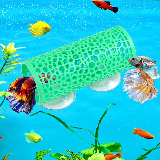 Abizoo Betta Fish Tunnel Hideout Aquarium Decoration, Mint Green | Hollow Coral Design, Smooth Finish, Habitat Cave for Betta Shrimp Guppies Neon Tetras Zebra Danios Small Fish