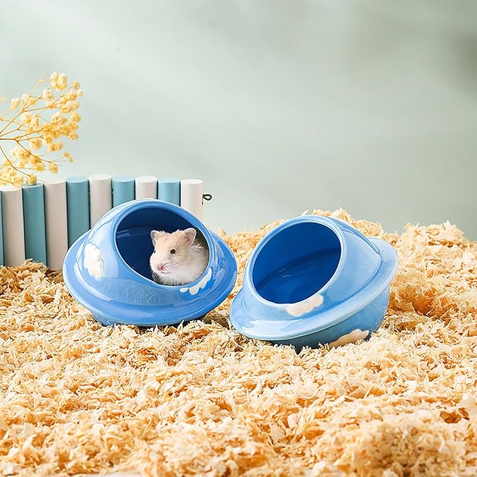 GKYZBB Blue Planet Hideout Ceramic,Hamster House and Habitats Cool Bed Ideal for All Season Dwarf Gerbil Mice Golden Bear