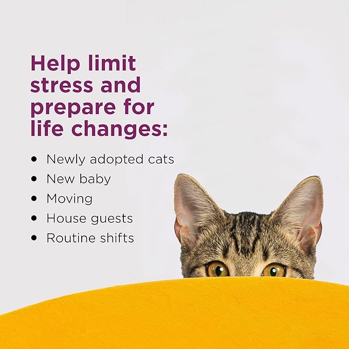 COMFORT ZONE Cat Calming Diffuser Refill – Cat Calming Pheromone Refills Help Reduce Anxiety, Stress, Scratching, Urine Marking, Aggression, (30-Day Refills, 180-Day Supply), (Pack of 12)