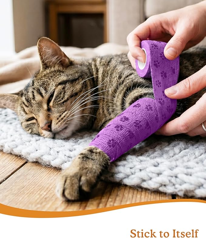 2 Inch Self Adhesive Bandage Vet, First Aid for Dogs Cats Horses, Great for Paws, Legs & Tails, Individually Wrapped, 8 Rolls, Daybreak Paw