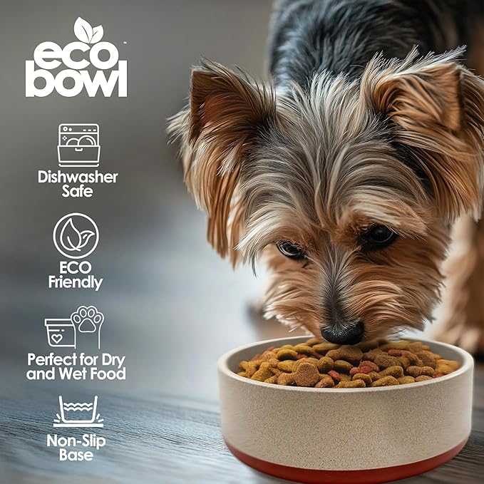 Palz&Co EcoBowl with Lid for Dogs & Cats, 28 oz Cinnamon - Natural Bamboo Pet Bowl with Non-Slip Base, Pet Food and Water Dish, Dishwasher Safe