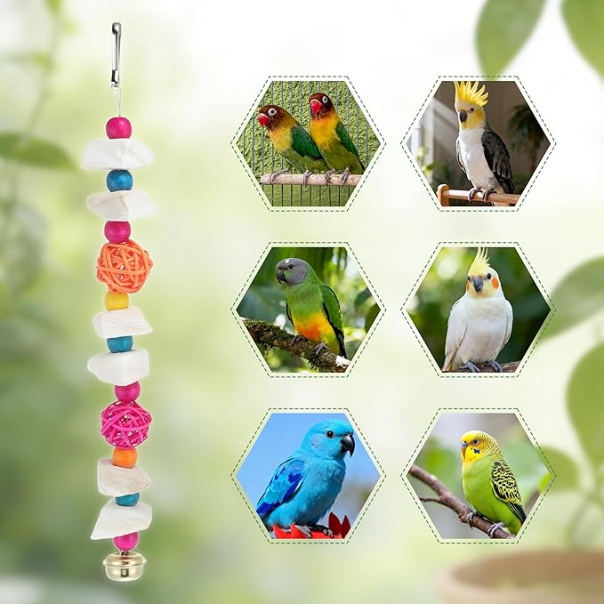 Bird Toys with Cuttlebone, Prevents Destructive Chewing, Grinding Stone for Bird, White, Colorful, 2 Pcs