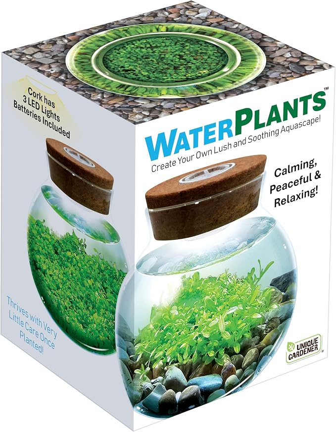 WaterPlants- Create Your Own Lush and Soothing Aquascape Terrarium Starter Kit, Indoor Plant Glass Globe Terrariums with Powerful 3 LED Light and Complete Supplies, Just Add Water!