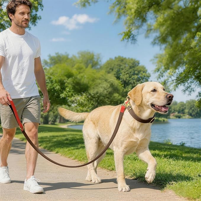 Dog Collar and Leash Set with Metal Quick Release Buckle, Adjustable, Breathable Nylon, Durable, Soft and Comfortable, No Pull for Walking and Training, Brown, L (14.9"-22.8")