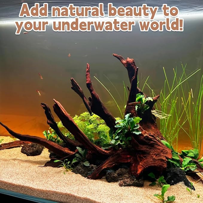 PINVNBY Natural Large Driftwood for Aquarium Fish Tank Decorations, Driftwood for Reptile Tank Bearded Dragon Tank Accessories Terrarium Decor (10 to 14 inches / 2 Pack)