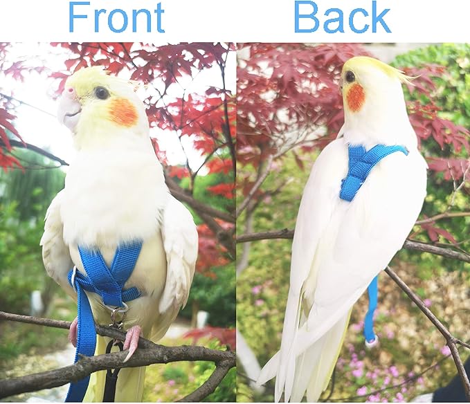 VANFAVORI Adjustable Bird Harness with 80 Inch Leash, Outdoor Flying Training Rope Kit for Bird Parrots S Size Weight 75-110 Grams, One Piece(Colors May Vary)
