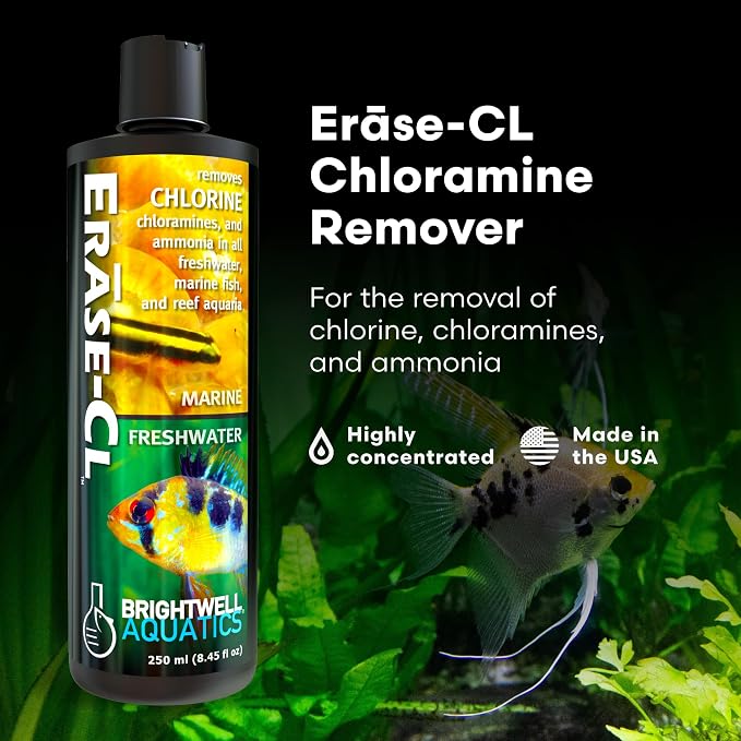 Brightwell Aquatics Erase-Cl Aquarium Water Conditioner & Detox, 250 ml