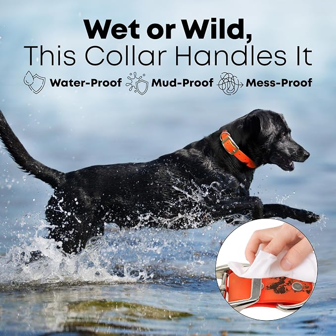Regal Dog Products Small Orange Dog Collar with Heavy Duty Double Buckle & D Ring | Vinyl Coated, Custom Fit, Adjustable Biothane Dog Collar | Chew Resistant Waterproof Collar for Dogs