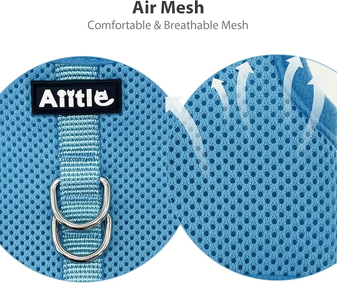 AIITLE Lightweight Escape Bunny Harness and Leash Set - Air Mesh Vest with Double D-Rings, Adjustable & Magic Tape Design, for Ferret/Cat/Puppy Training and Hiking Adventures, Blue L
