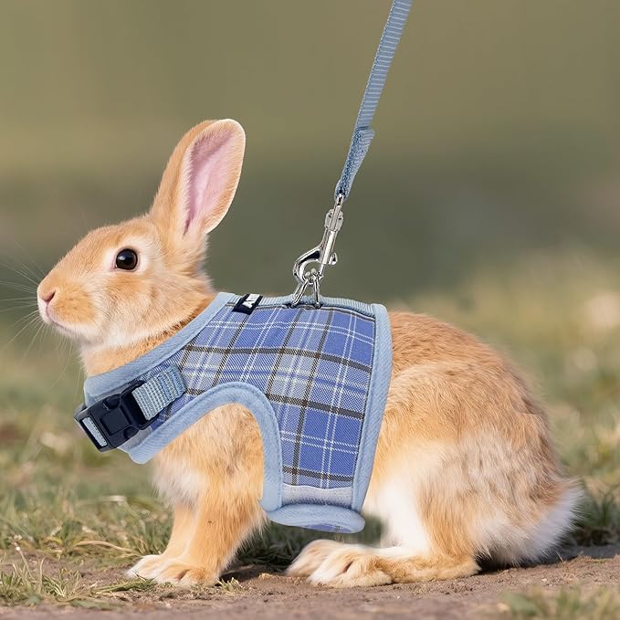 AIITLE Breathable Rabbit Harness and Leash Set - Plaid Pattern Padded Vest with Magic Tape Design, Dual D-Rings, Adjustable for Small Animal Pets, Indoor Outdoor Training Camping, Blue M
