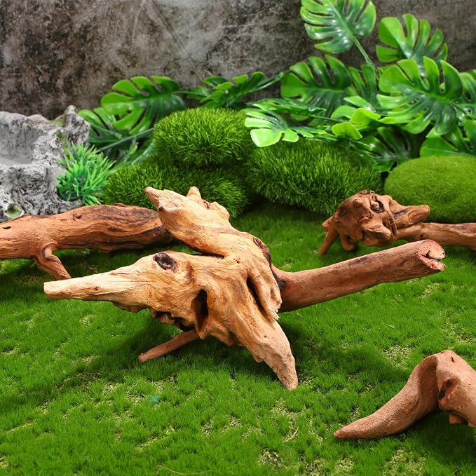 Toddmomy Aquarium Driftwood 4 Pc Set Fish Tank Decorations for Freshwater Aquascaping Small Aquarium Decor Natural Wood for 7.48 X 3.54 X 3.14 in