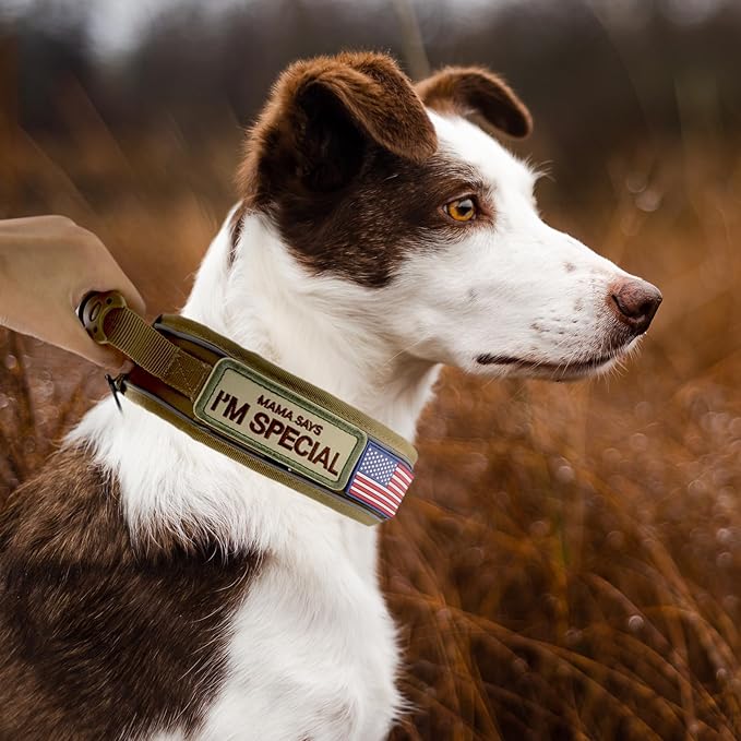 2.5" Tactical Dog Collar for Medium Dogs, Adjustable Heavy Duty Military Nylon Dog Collar with Reflective Stitching & Padded Handle for Hiking/Running/Training (Khaki,M)