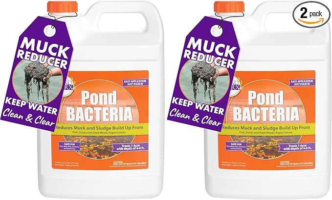 PondWorx Pond Bacteria - Formulated for Large Ponds, Water Features and Safe for Koi - Gallon (Pack of 2)