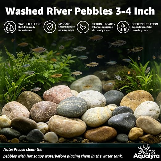 5lbs Natural Large River Rocks, 3"-4" Premium Pebbles, Decorative Stones | Water-Washed, Hand-Picked, for Fish Tank, Garden, Paving, Fountain, Walkways and Outdoor Landscaping Pathways, Backyard