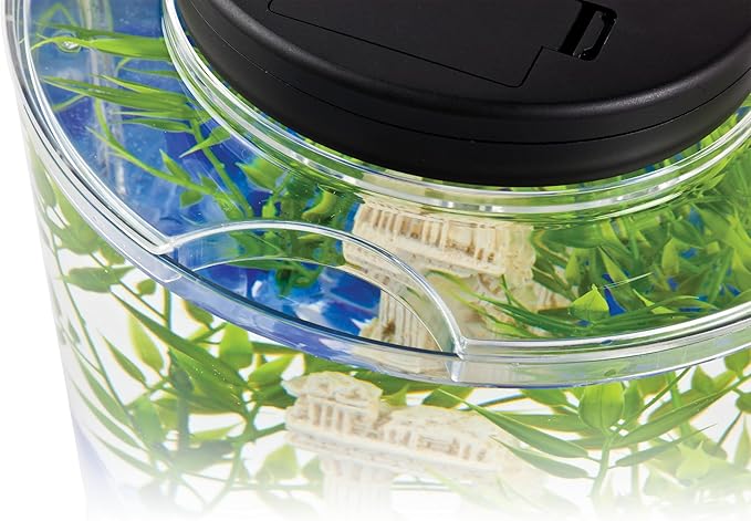 Tetra LED Half Moon Aquarium Kit, 1.1 Gallons, Small, Clear Plastic Fish Tank With Curved Front, Easy Feeding And Movable, Energy-Efficient LEDs Ideal For Bettas Great As Desk Aquarium