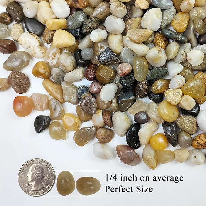 FANTIAN Pea Gravel for Landscaping, 10 lbs Aquarium Gravel Rocks, 1/4 Inch | Natural Polished Pebbles for Plants, Decorative Stones River Rocks for Succulent Soil Cover, Fish Tank, Vase, Outdoor Garden