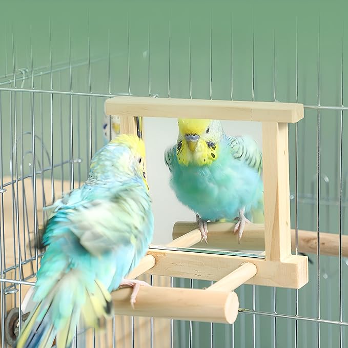 Natural Wood Bird Stand with Mirror, Perch and Swing Toy for Parakeets, Hummingbird, Lovebirds and Cockatoos (2 Pack)