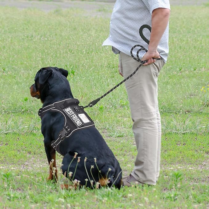Beebiepet Heavy Duty Tactical Dog Harness for Large Dogs, No Pull Adjustable Pet Harness Reflective Service Training Easy Control Pet Vest Military K9 Working Dog Harnesses-X- Large, Black