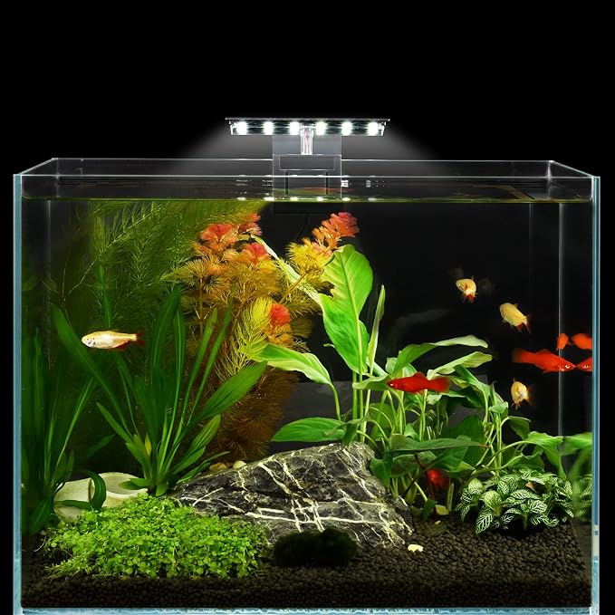 WEAVERBIRD Aquarium Light Fish Tank LED Light 6W 12 LED Planted Clip Lamp for 8-15Inch 6mm Thick Fish Tanks