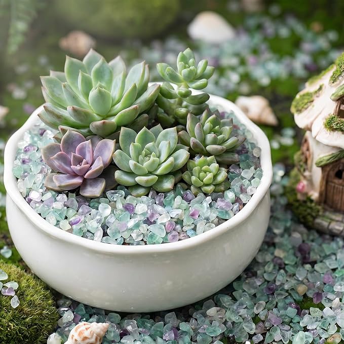 1LB Crystal Chips Stone Fluorite 3-5mm Mini Decorative Rock | Crushed Crystal Quartz Bulk,Irregular Polished Rocks for Fish Tank,Vases Filler,Succulent Plants Decor,Aquarium Gravel Rocks