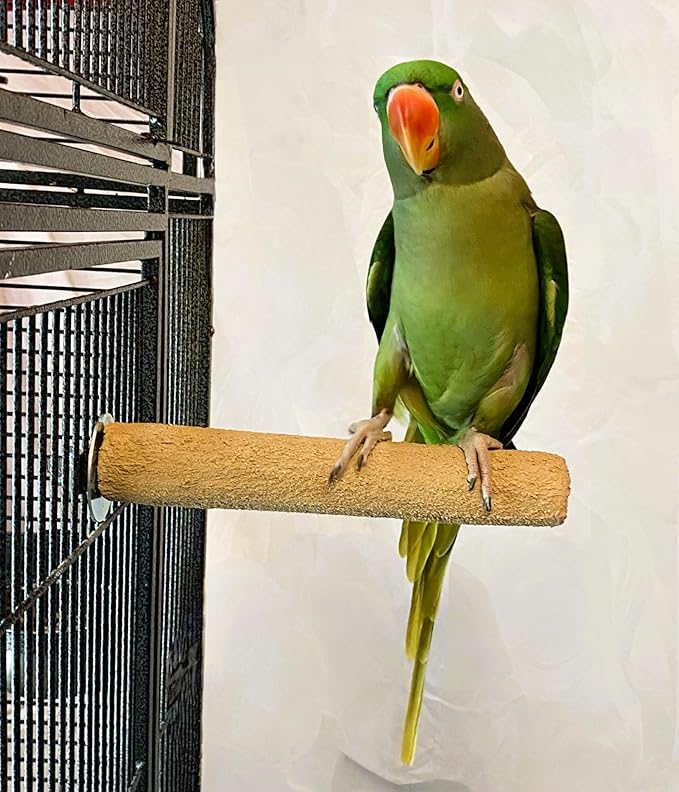 Polly's Pastels Nail Trimming & Beak Conditioning Safety Perch for Cockatiels, Cockatoos, Macaws, Parakeets, Budgies, Parrots and All Other Birds (Brown, Large-1 1/2" Dia. x 9" Long)