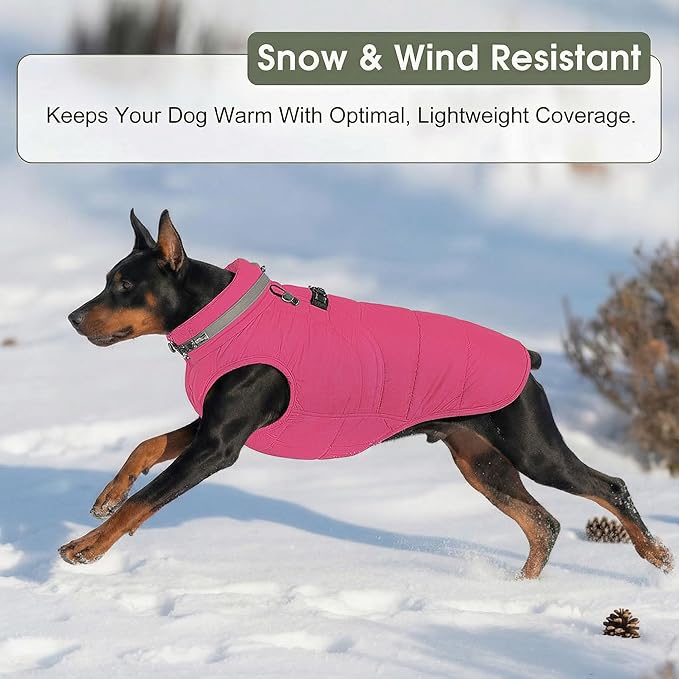 SAWMONG Dog Coat, Warm Dog Winter Coat, Waterproof Fleece Jacket, Cold Weather Dogs Jacket (2XL,Rosered)