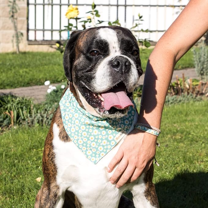 Pettsie Hemp Dog Bandana Collar & Matching Owner Friendship Bracelet | Adjustable, Durable Hemp, Soft & Comfortable, Includes Matching Friendship Bracelet, Secure D-Ring, Green